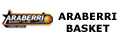 araberribasket