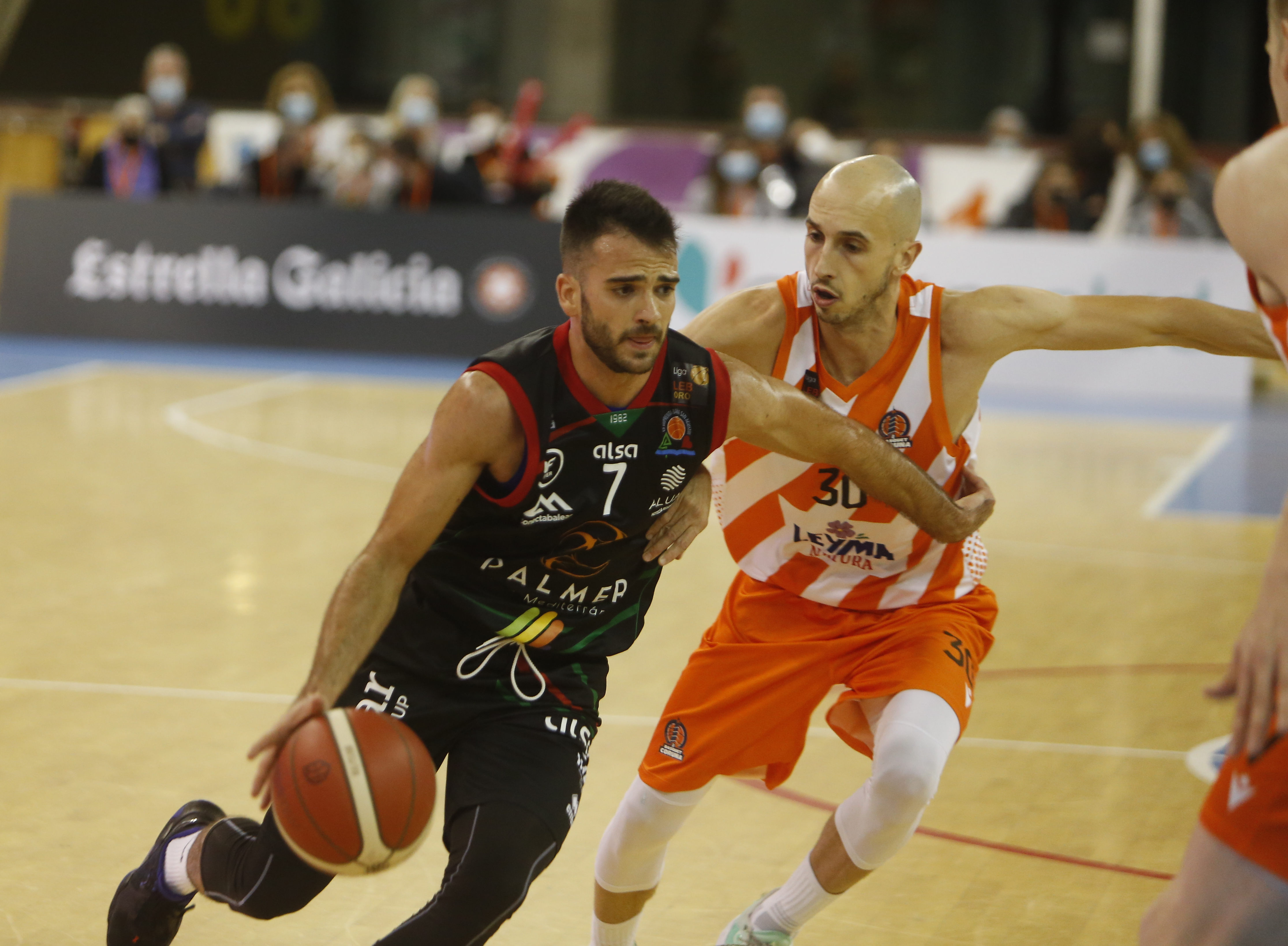 ILG BASKET CORUA PALMER MEDITERRANEA 03